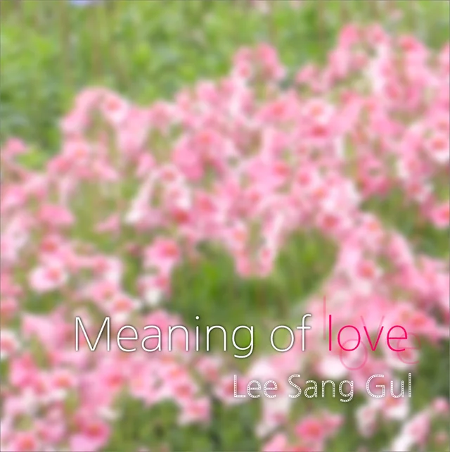 Meaning of Love — 이상걸 공식 발매 앨범 자켓